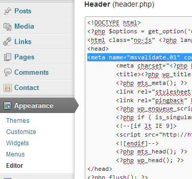 Adding BWT Meta Tag in WordPress Header