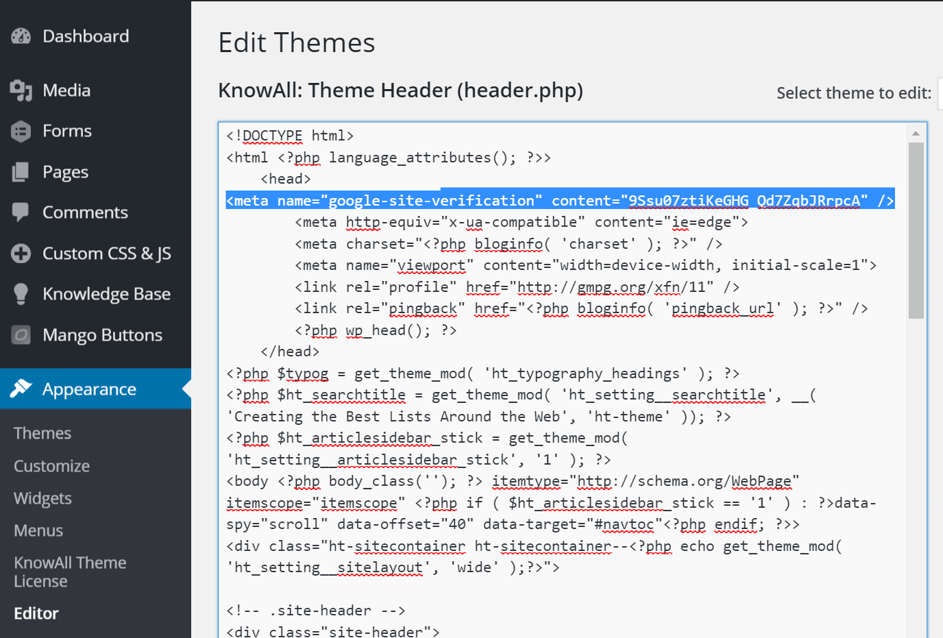 adding google search console meta tag wordpress header