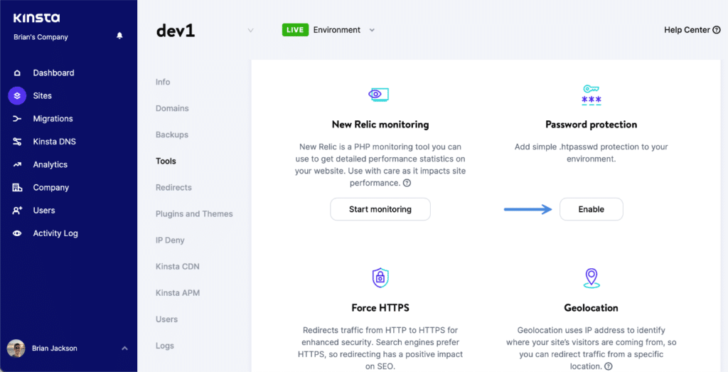 Kinsta password protection