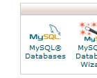 Cpanel MySQL Databases