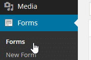 WordPress Gravity Forms