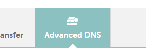 domain advanced dns