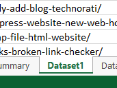 excel dataset1