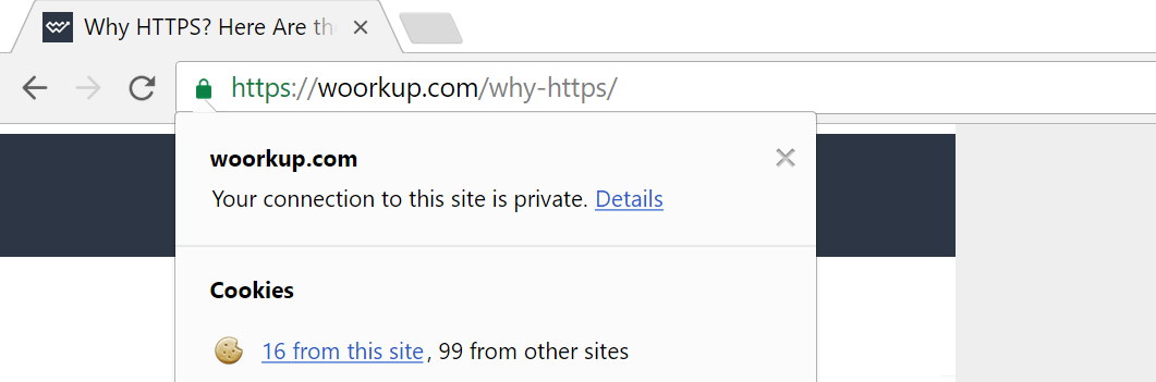 chrome https icon