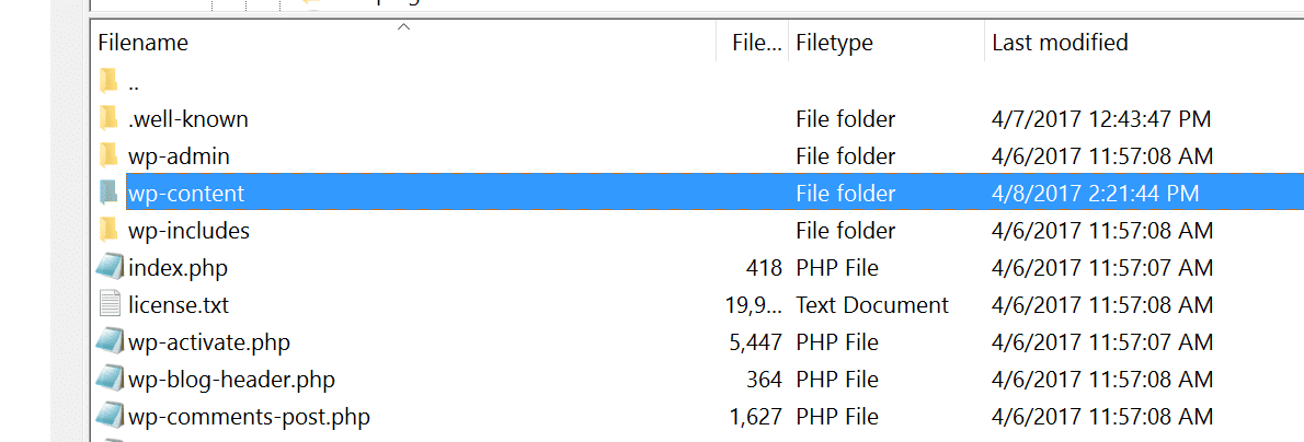 download wp-content folder