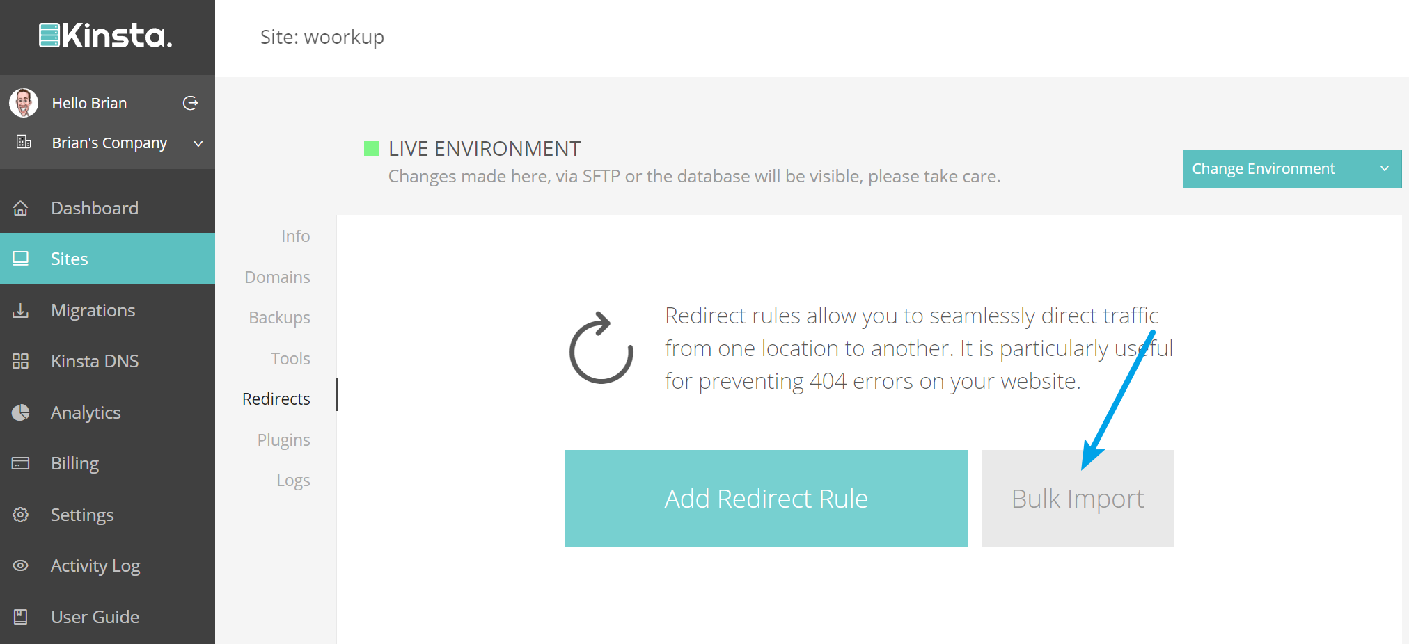 bulk import redirects kinsta