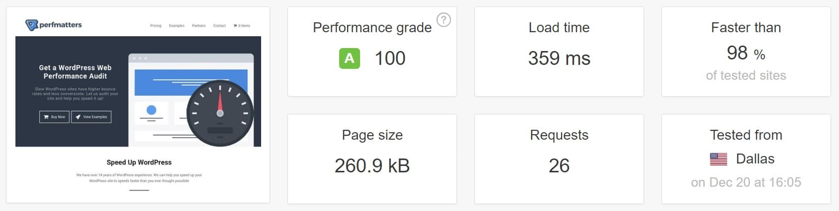 perfmatters 100 score pingdom