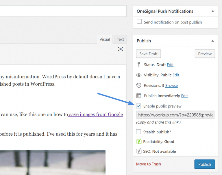 How to Allow Public Post Preview of Unpublished Posts in WordPress