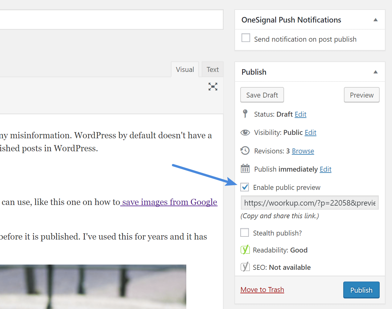 Enable public preview in WordPress