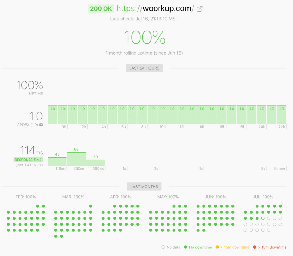 Kinsta uptime