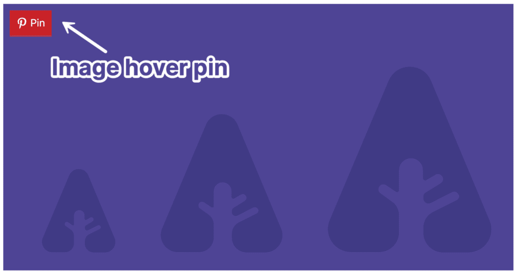 Pinterest image hover pins in Novashare