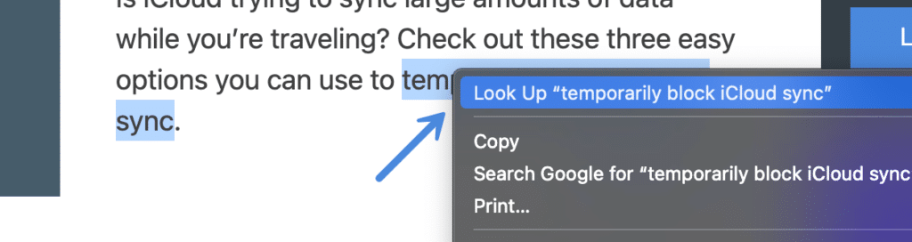 Mac look up context menu