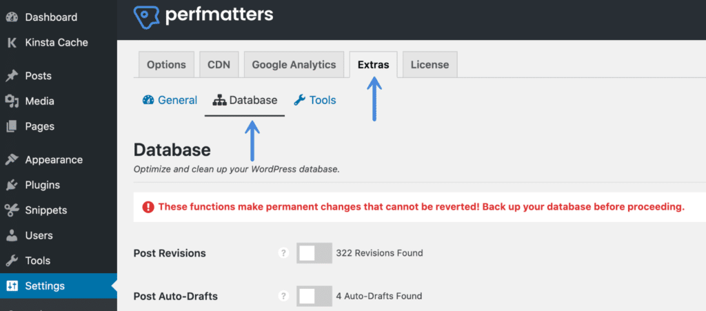 Perfmatters database optimization