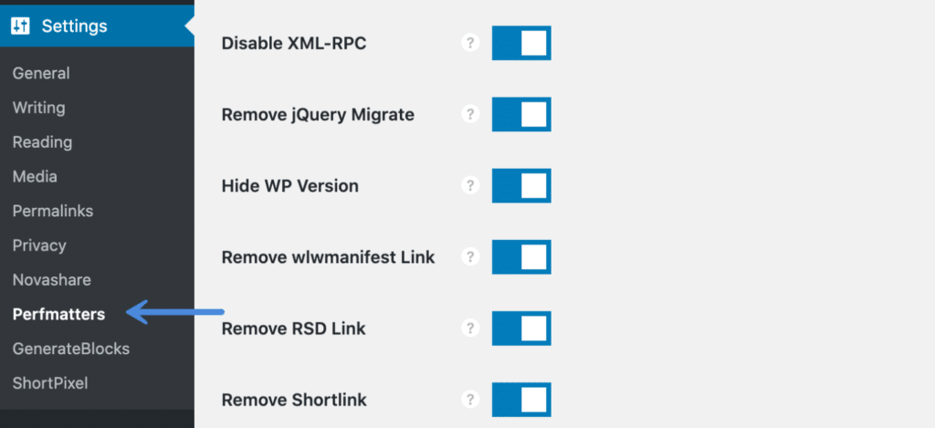 Perfmatters plugin settings