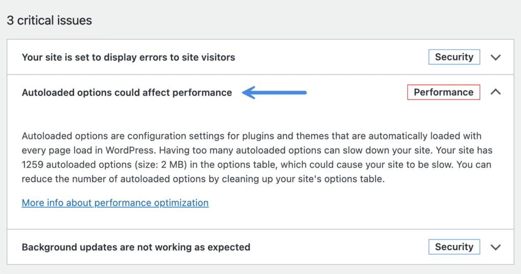 See autoloaded data in Performance Lab plugin