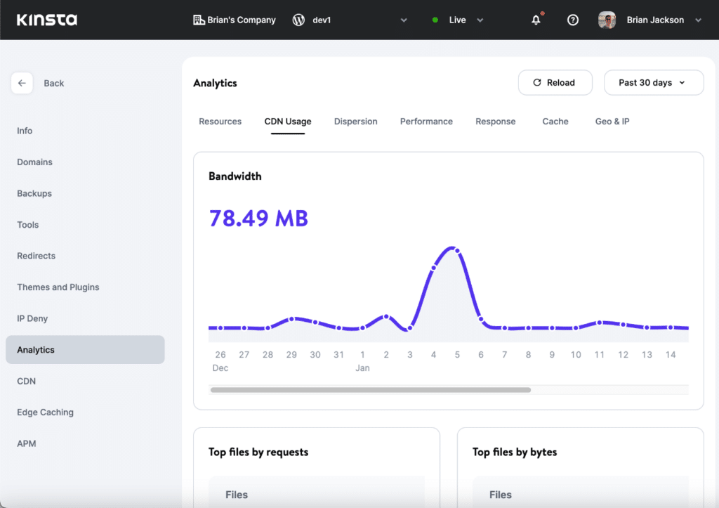 Kinsta Analytics CDN usage