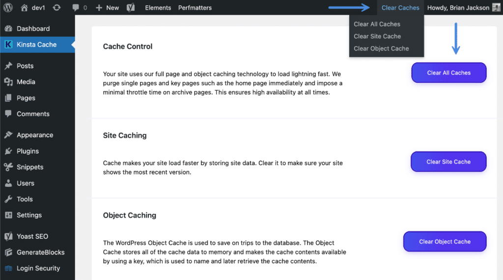 Kinsta cache control in WordPress dashboard