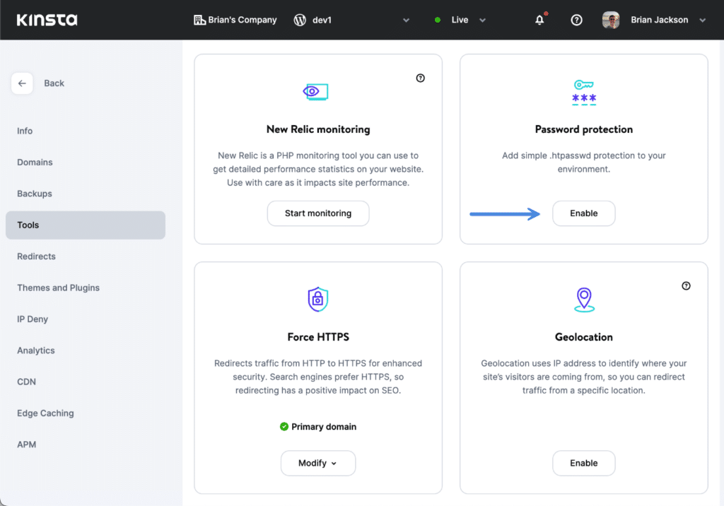 Kinsta password protection