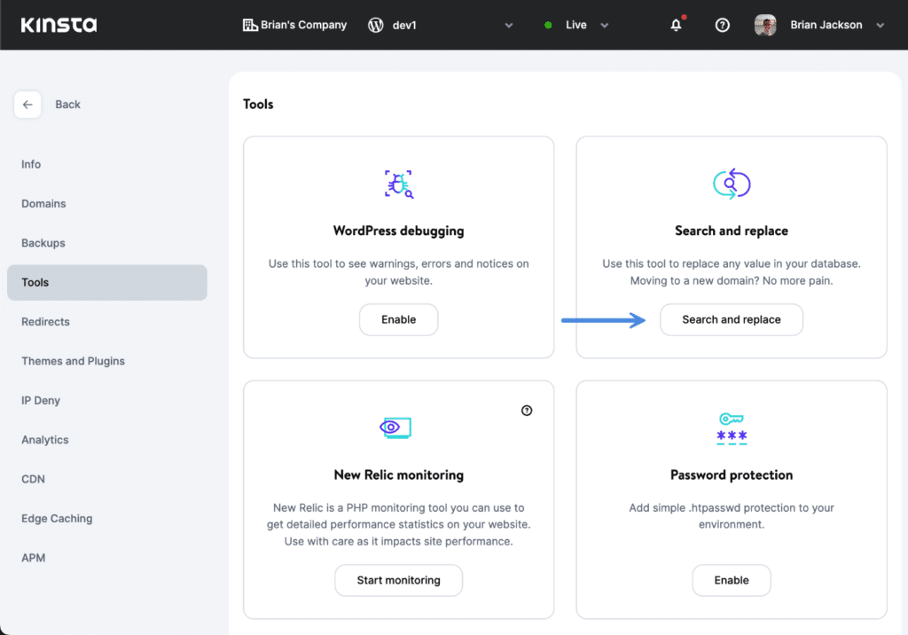 Kinsta search and replace tool