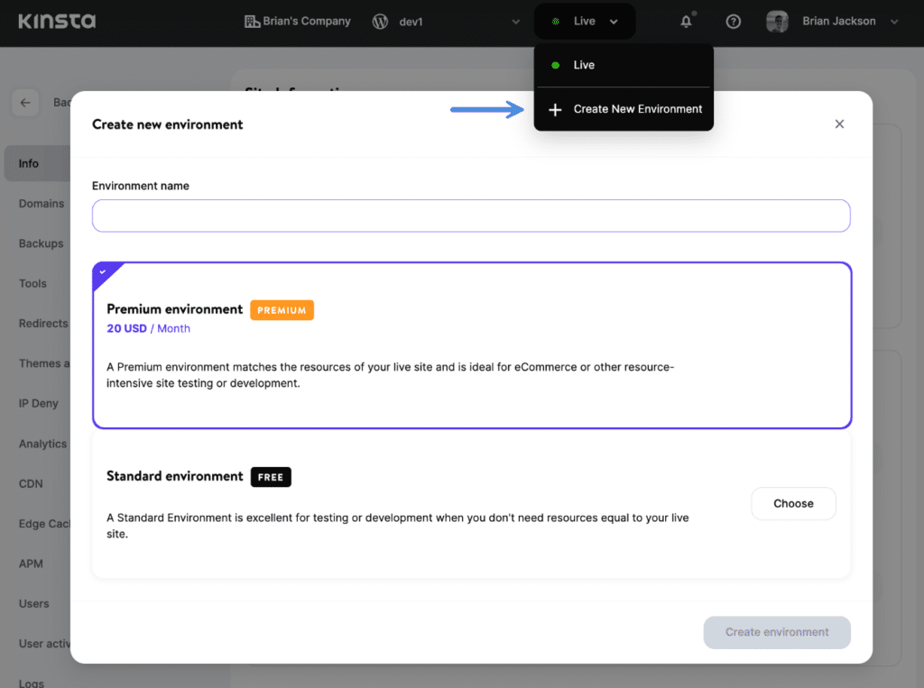 Kinsta staging environment