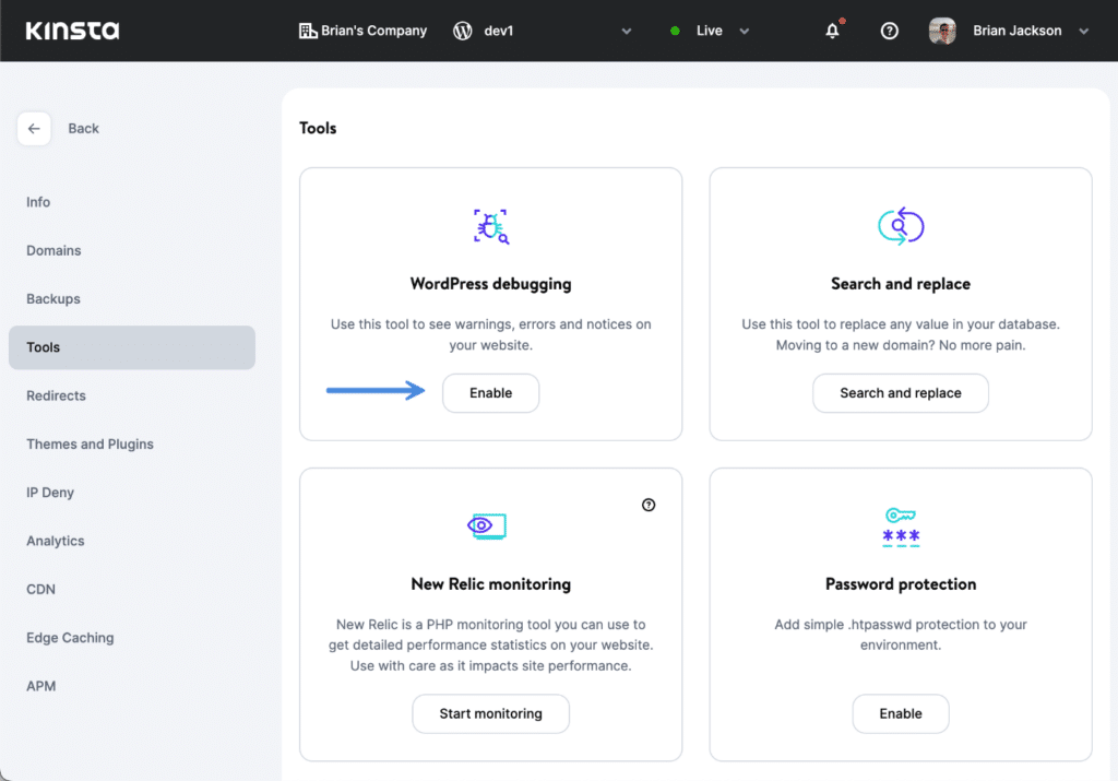 Kinsta WordPress debugging